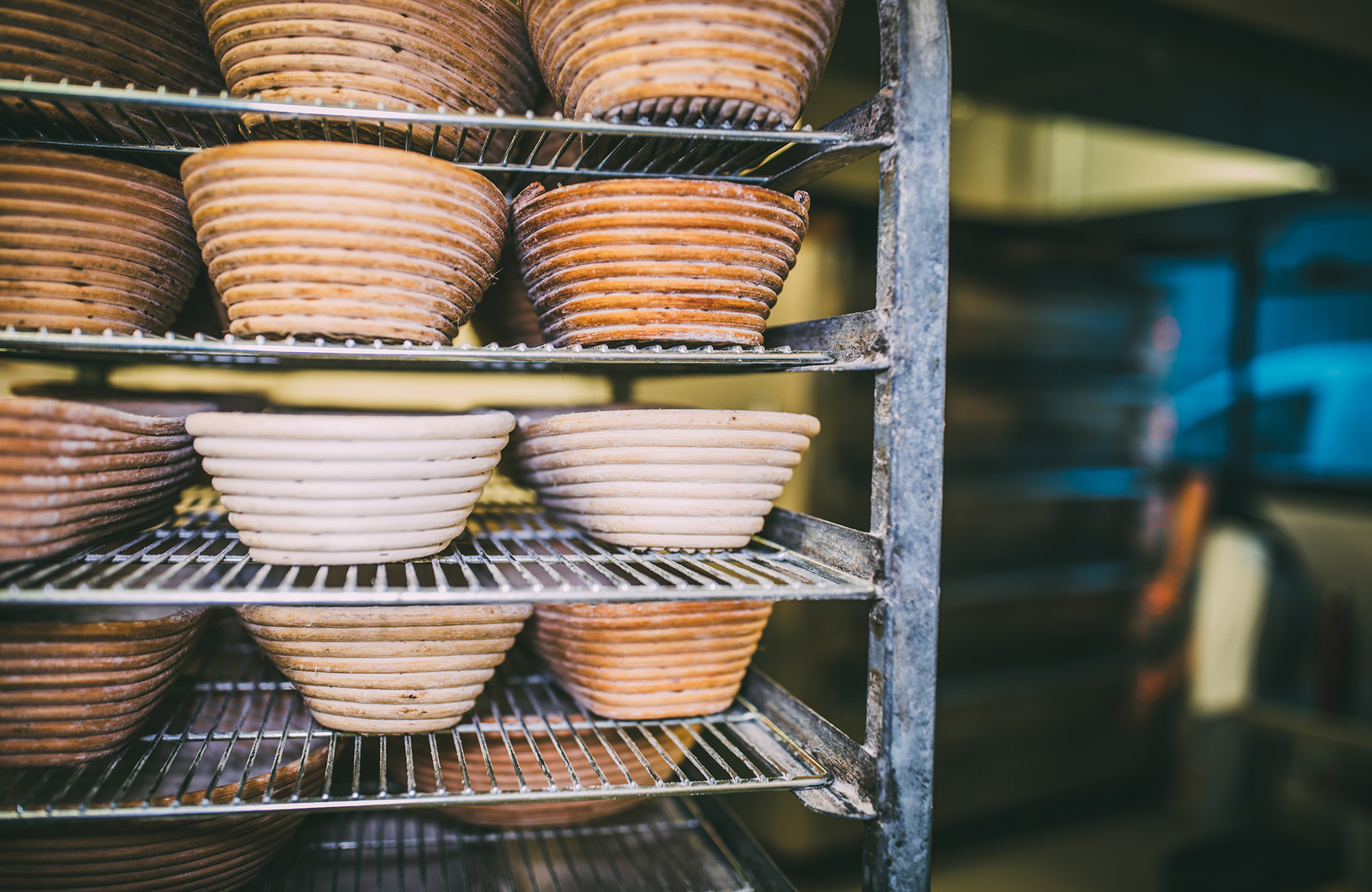 st-ives-bakery-artisan-02